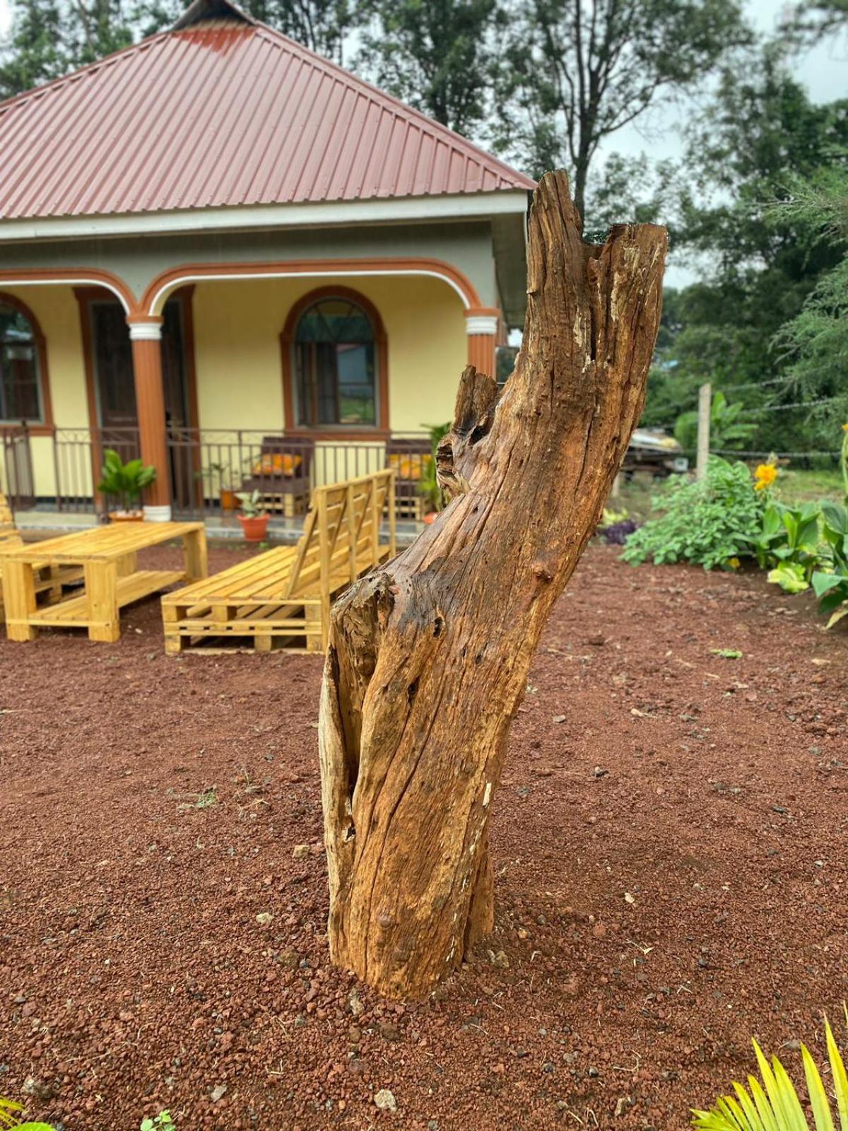 Home Feeling Kilimanjaro Moshi Ngoại thất bức ảnh